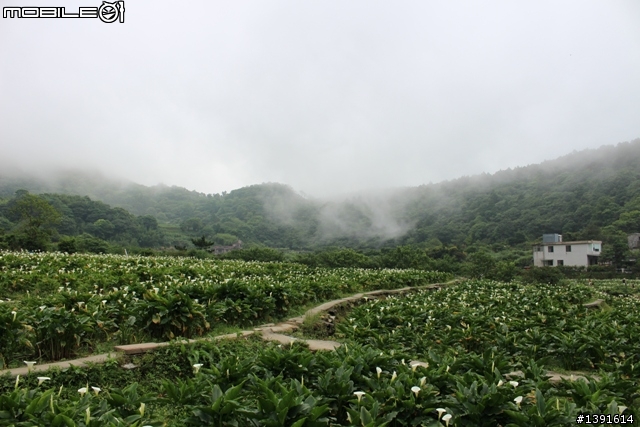 【邀請】CANON 100D 大家一起也來蓋大樓