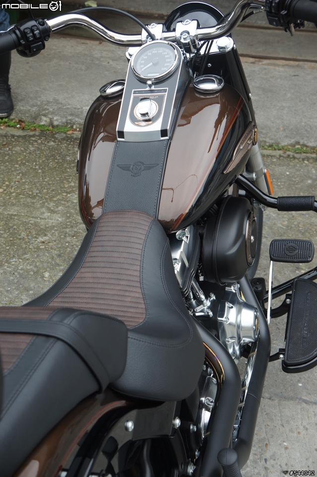 家中的新成員,2013 FATBOY Special
