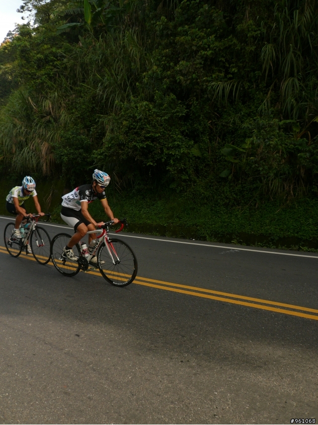 阿里山-龍美路段