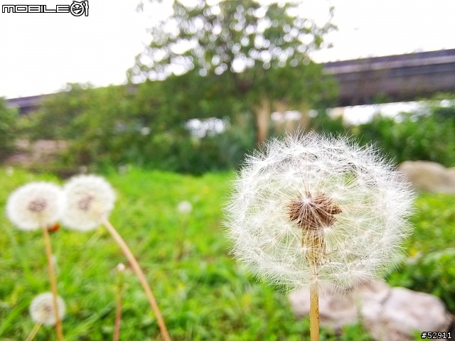 小米2S隨手拍蓋大樓