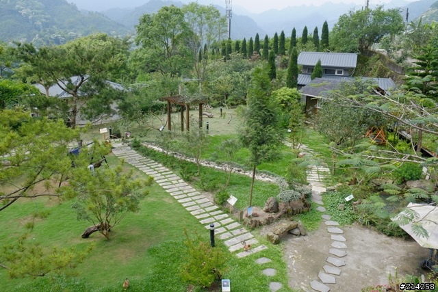 2013 Ford Focus 1.6 新竹油桐花試駕之旅心得分享~閃亮亮女神大露臉