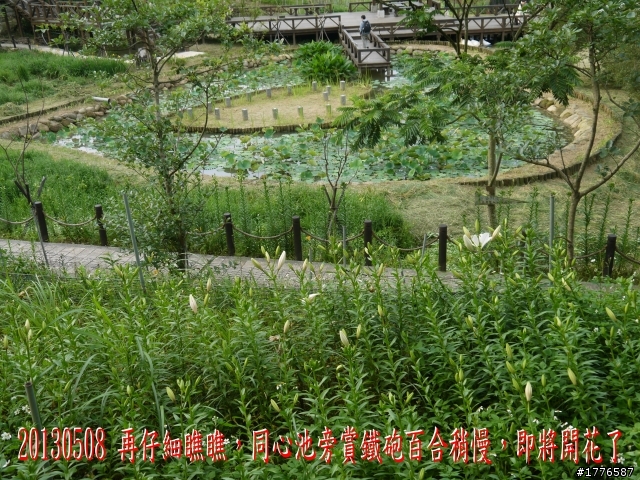 20130508 碧山巖白石湖大崙頭山之旅