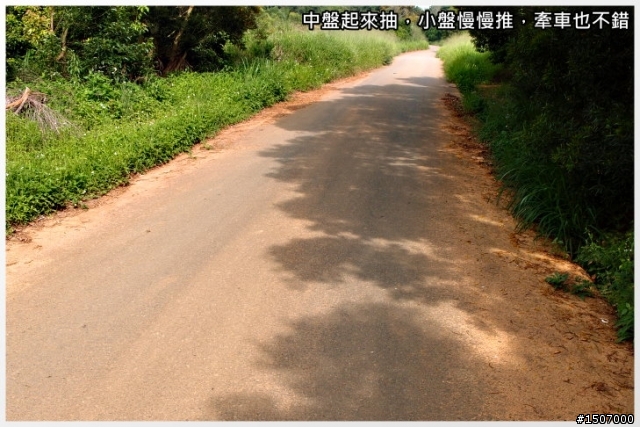 九天(民俗技藝團)硬梆梆...雖短但很硬。