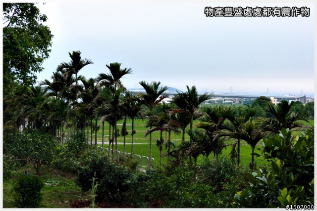 快樂的農村...外埔區永豐社區(虎家莊)