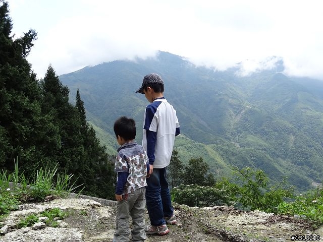 親子旅遊-雲鄉觀霧(上)