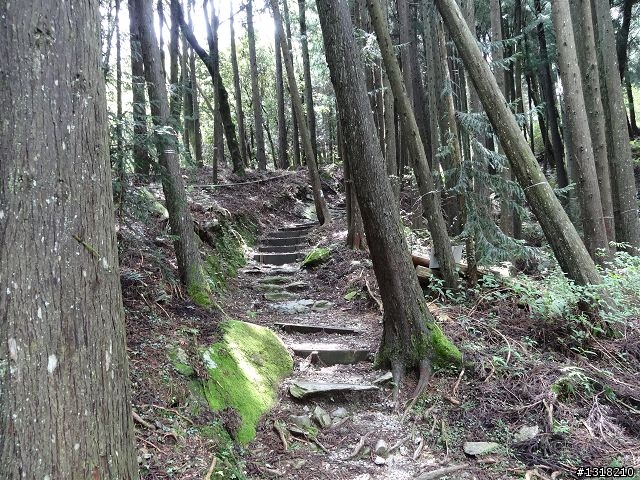 親子旅遊-雲鄉觀霧(上)
