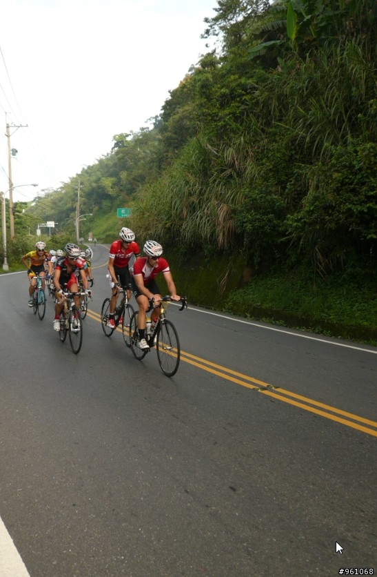 阿里山-龍美路段