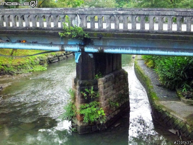 蘭陽蝶形道