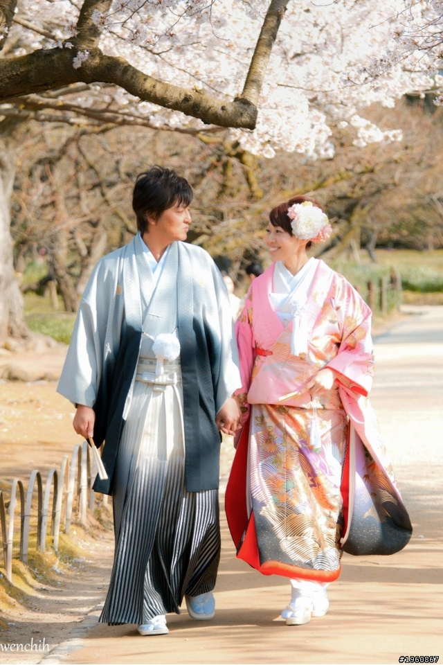 日本櫻花之旅(純照片分享)