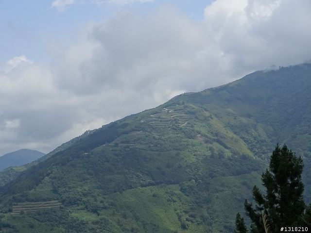 親子旅遊-雲鄉觀霧(上)