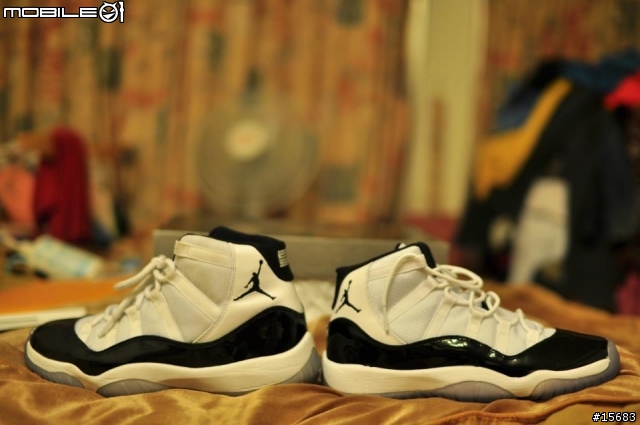 [夾克分享]Air Jordan XI LOW 殺人鯨報到!!!!!