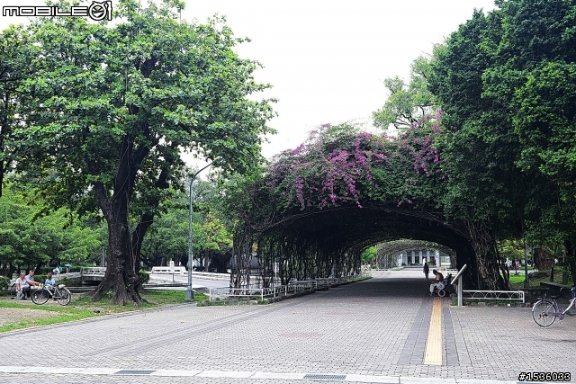 屏東市中山公園的松鼠吃香焦