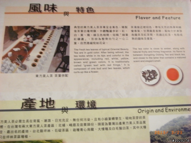 天殺的~原來這就是東方美人的真正秘密?