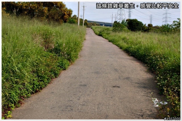 九天(民俗技藝團)硬梆梆...雖短但很硬。