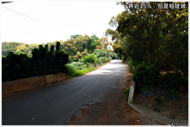 大肚山上短陡坡...鳥居路線!