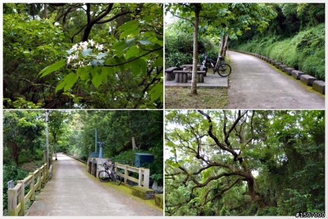 快樂的農村...外埔區永豐社區(虎家莊)