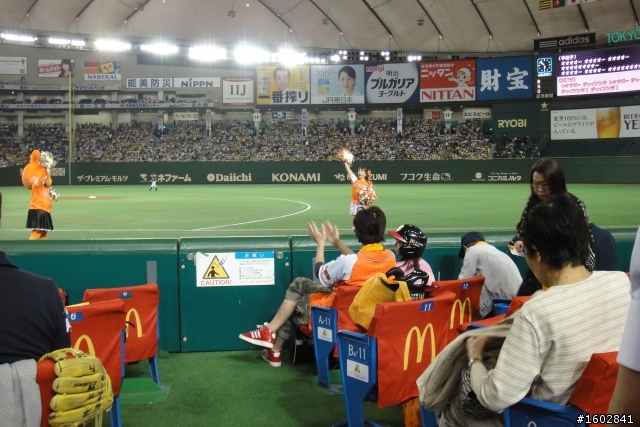 《東京巨蛋》啤酒辣妹與野球巡禮