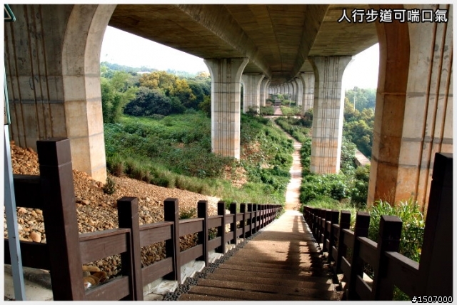 九天(民俗技藝團)硬梆梆...雖短但很硬。