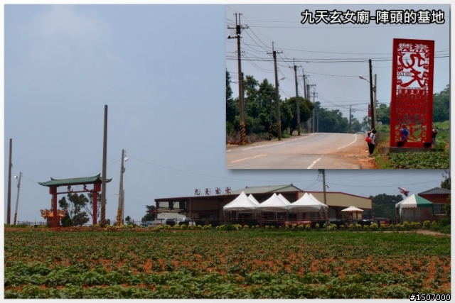 大肚山上短陡坡...鳥居路線!