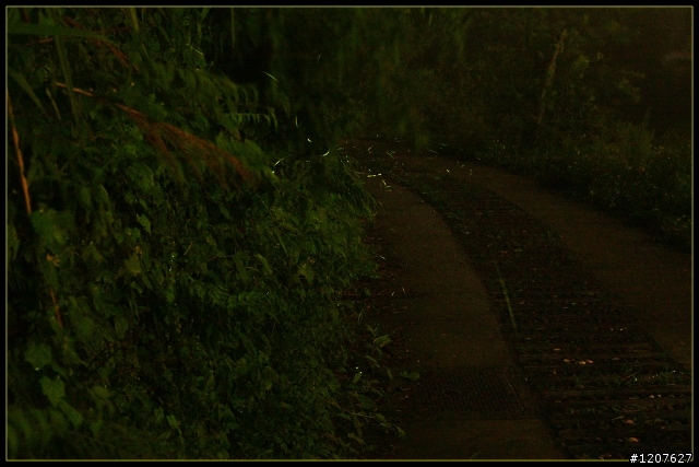 2013.05.15-16_風起雲湧雨下-千萬夜景野營趣！
