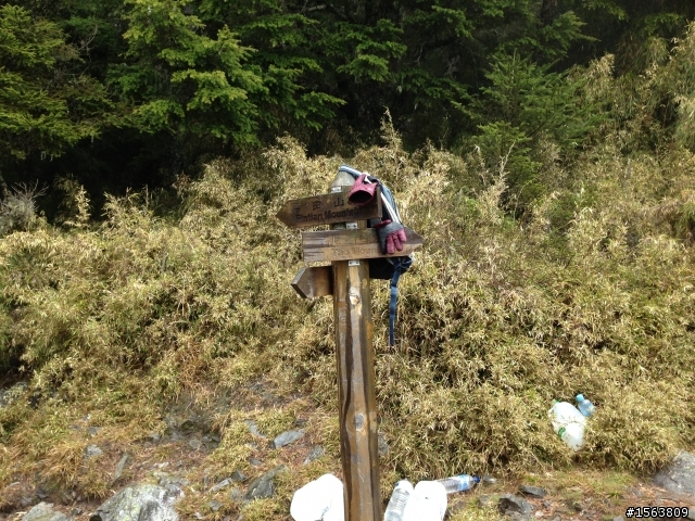 武陵三秀單攻(池有,品田,桃山,沒去喀拉業)