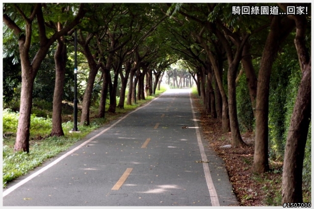 大肚山上短陡坡...鳥居路線!