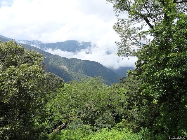 親子旅遊-雲鄉觀霧(上)