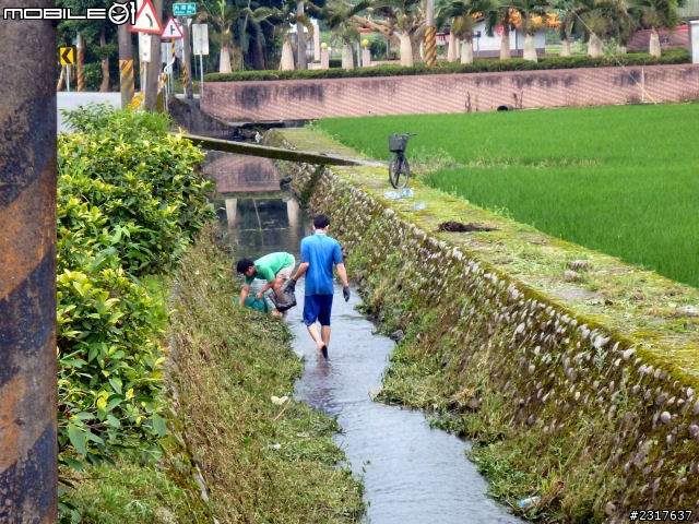 蘭陽蝶形道