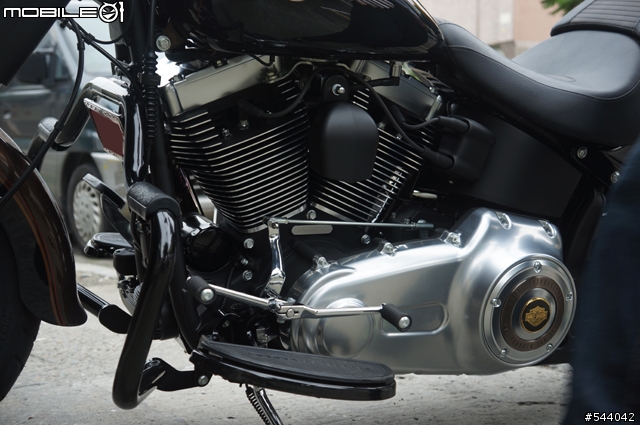 家中的新成員,2013 FATBOY Special