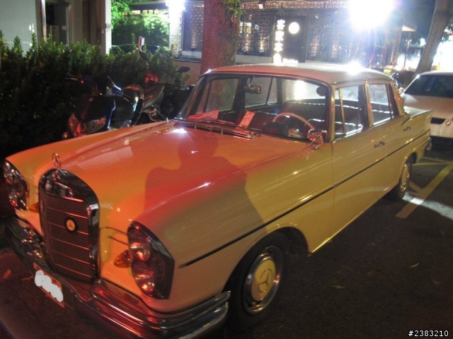 遇見可愛老Benz