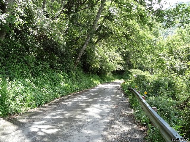 親子旅遊-雲鄉觀霧(上)