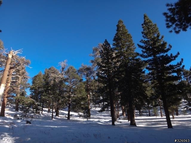 南加州cactus to clouds 由沙漠一路走到雪地3300公尺上升（1，2級路線）