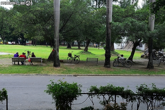 屏東市中山公園的松鼠吃香焦
