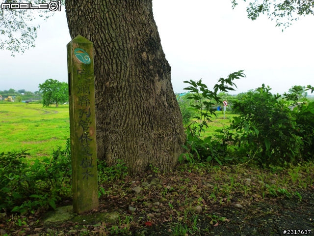 蘭陽蝶形道