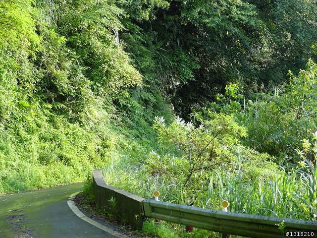 親子旅遊-雲鄉觀霧(上)