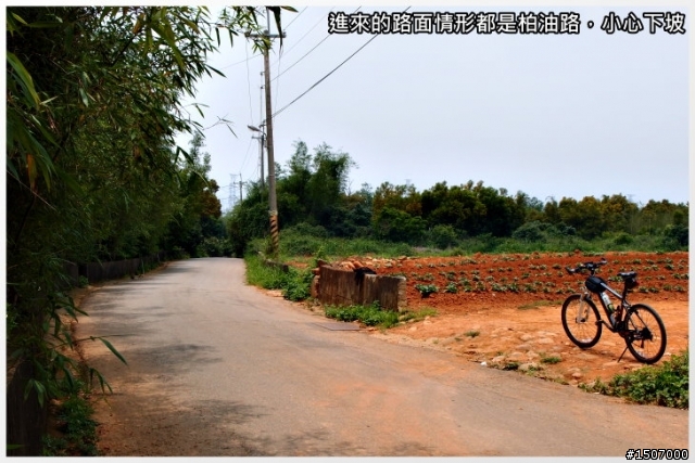 大肚山上短陡坡...鳥居路線!