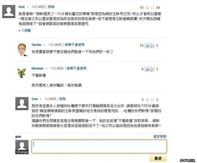 想吃雞排嗎?來堵這棵樹賭這棵樹頭部的主幹長菌類的地方是活的還是死的