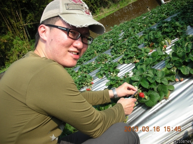 Focus 採草莓初體驗