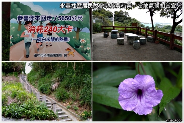快樂的農村...外埔區永豐社區(虎家莊)
