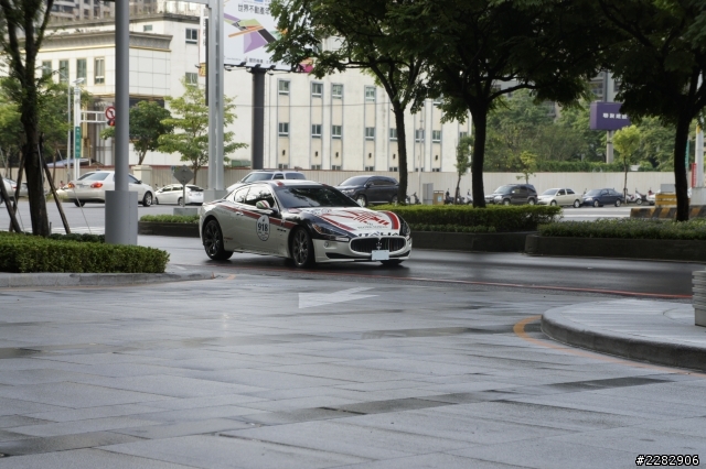 2013 Maserati Rally (圖多)