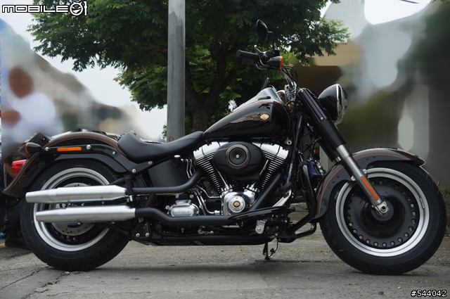 家中的新成員,2013 FATBOY Special