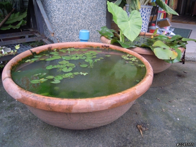 休假五天 只挑東部三個縣
