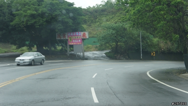 2013 THE ALL-NEW FOCUS 24小時免費開回家- 雨中石門水庫桐花行