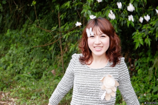 2013 Ford Focus 1.6 新竹油桐花試駕之旅心得分享~閃亮亮女神大露臉
