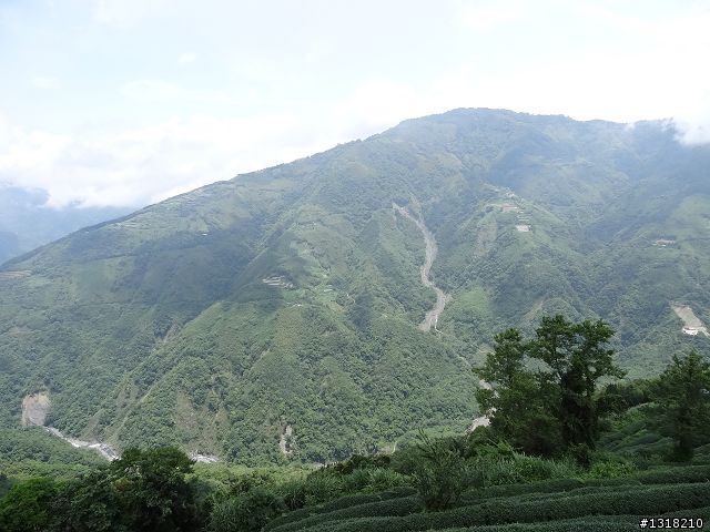 親子旅遊-雲鄉觀霧(上)