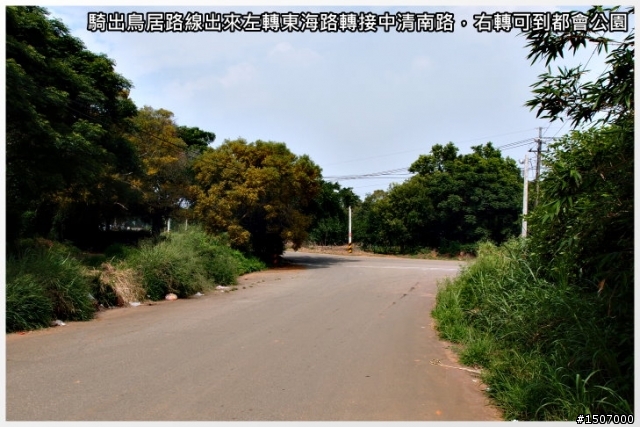 大肚山上短陡坡...鳥居路線!