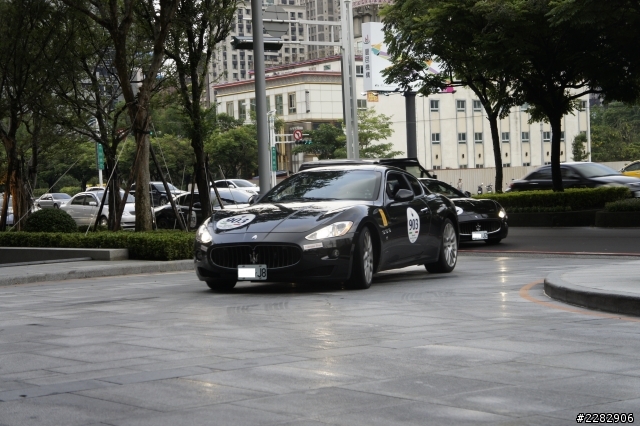 2013 Maserati Rally (圖多)