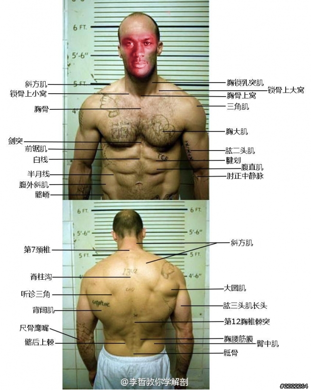 關於色溫搞不定的問題！求解