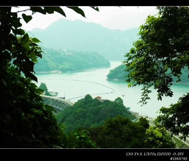 2013-04-30石門山油桐花_微旅行CX4