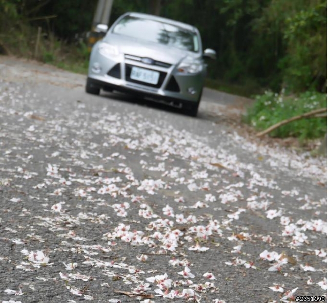 2013 THE ALL-NEW FOCUS 24小時免費開回家-苗栗試駕賞桐花去